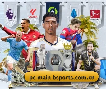 b体育官方网站 APP（BSPORTS）