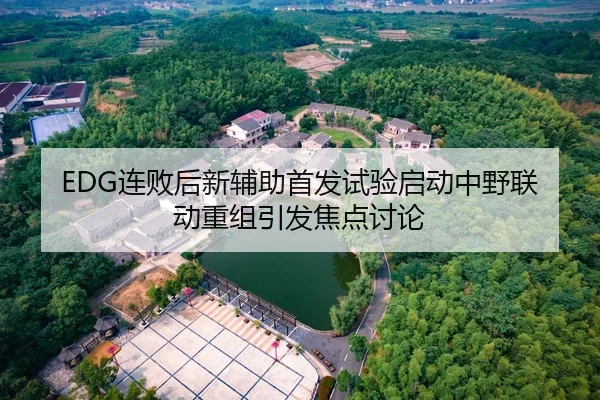 EDG连败后新辅助首发试验启动中野联动重组引发焦点讨论 | BSPORTS