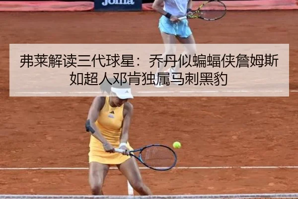 弗莱解读三代球星：乔丹似蝙蝠侠詹姆斯如超人邓肯独属马刺黑豹 | BSPORTS